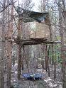 2011-10-02, Pilze (12)
